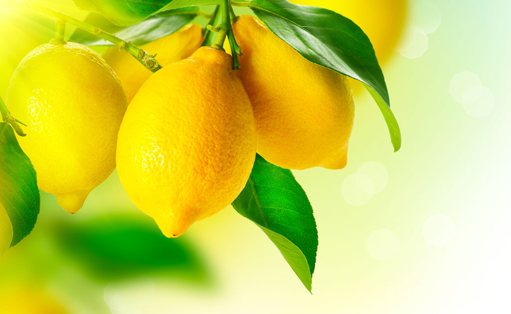 Sitronoljer i hudpleie er mye brukt