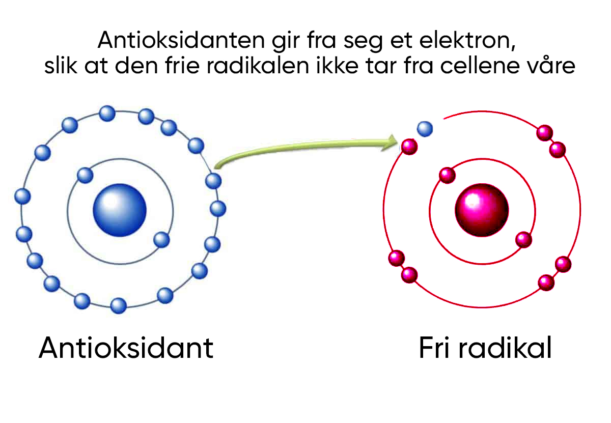Anti oksidanter og frie radikaler forklaring